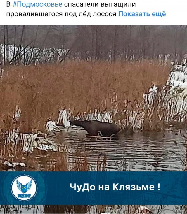 Победная поступь идиотизма по планете – том 5