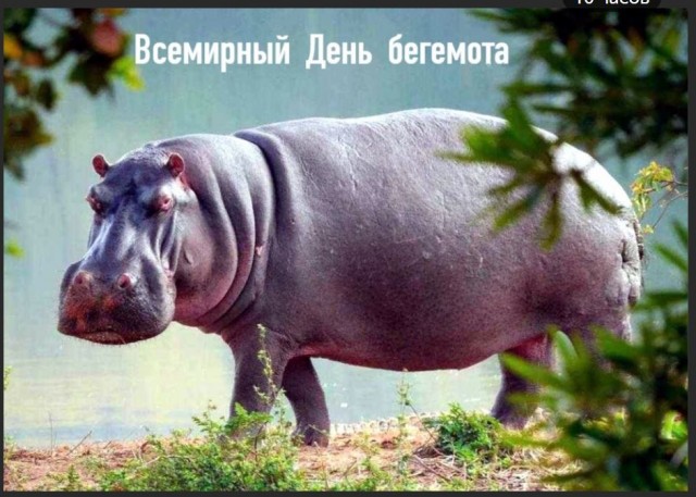 Победная поступь идиотизма по планете – том 8