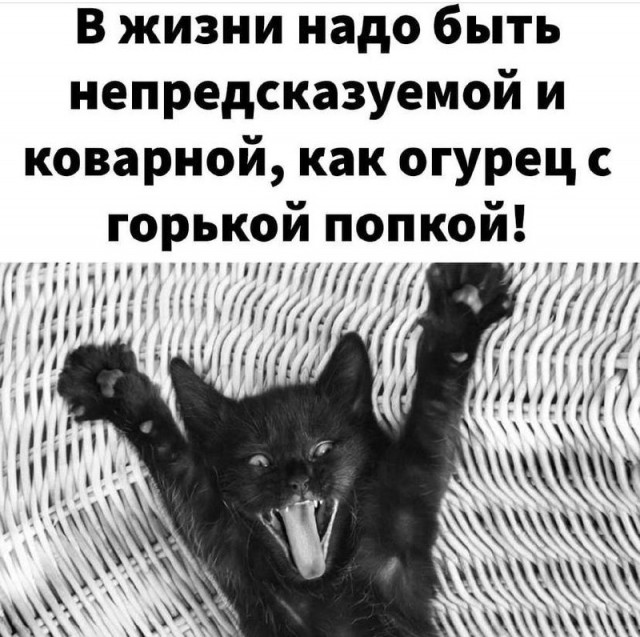 Картинки и мемы, всем хороших выходных