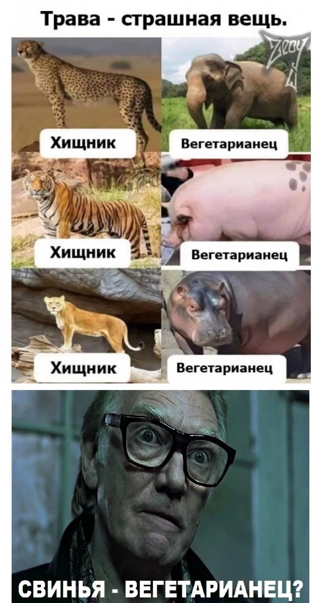 Картинки и мемы, всем хороших выходных