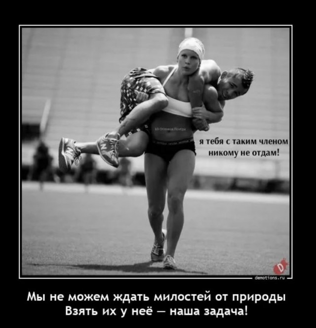 Победная поступь идиотизма по планете – том 12