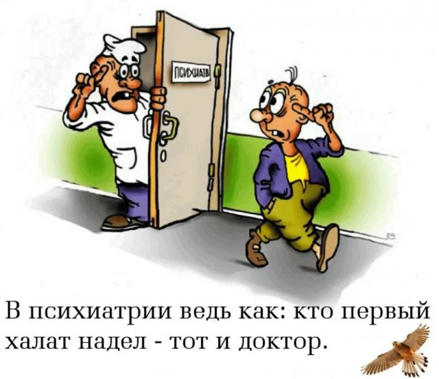 Победная поступь идиотизма по планете – том 12