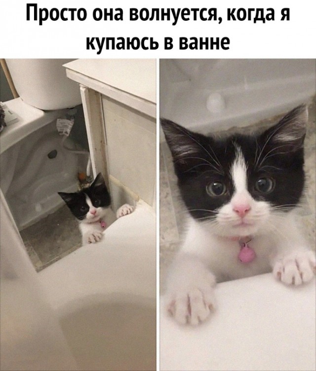 Немного картинок для настроения - 177