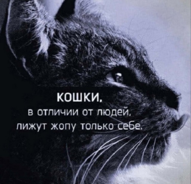 Подборка картинок 1.05.2023