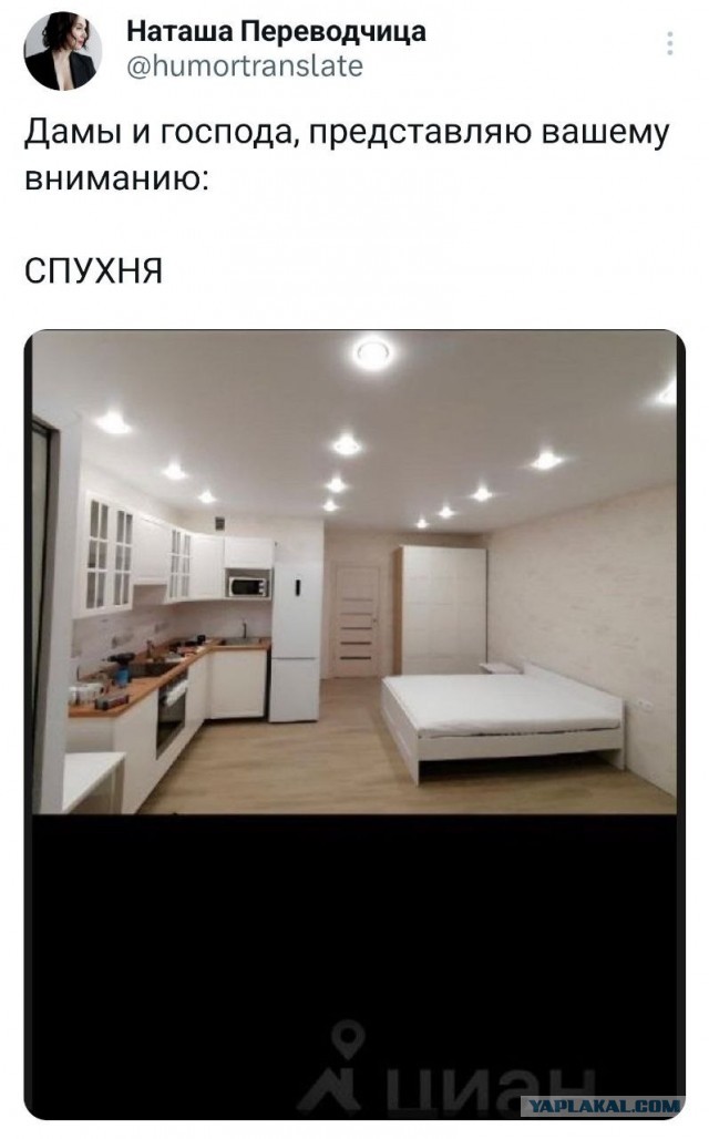 Скриншоты и комментарии из социальных сетей 20.06.23