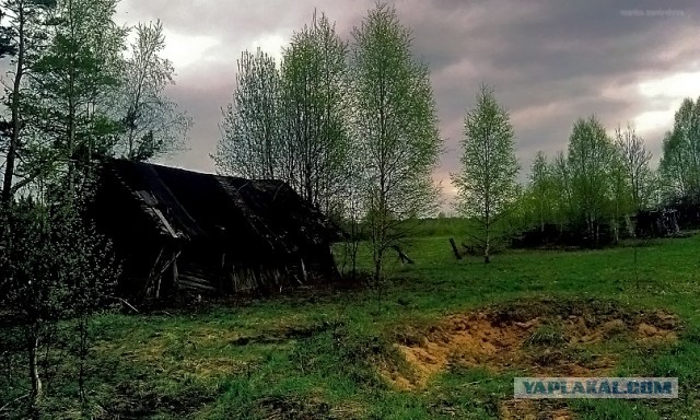 Добро пожаловать в глушь
