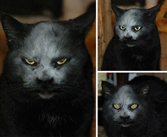 Квантовый переход