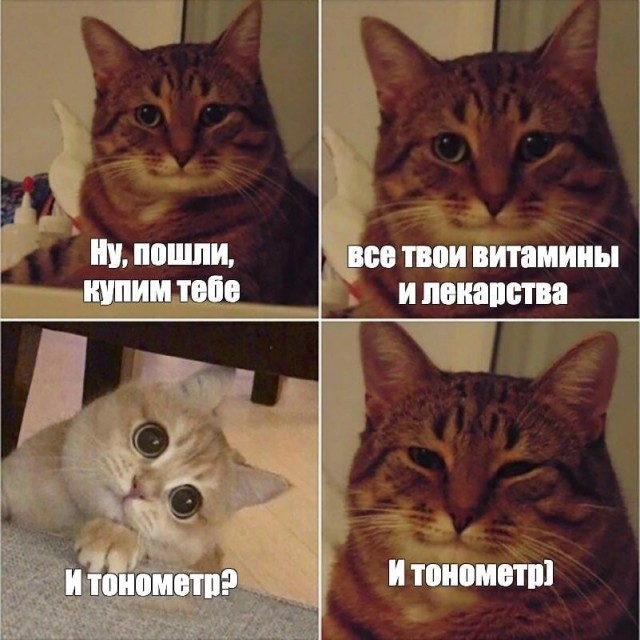 Так себе картинки 26.09.23