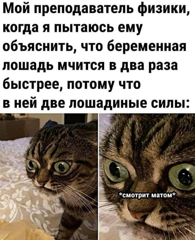 Веселительные картинки