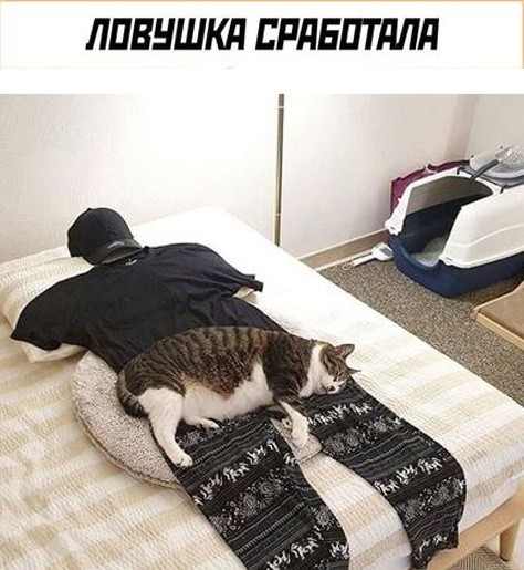 Так себе картинки 04.12.23