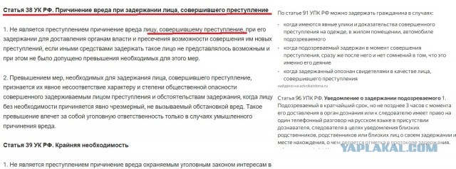 В Питере бородатые лютуют.