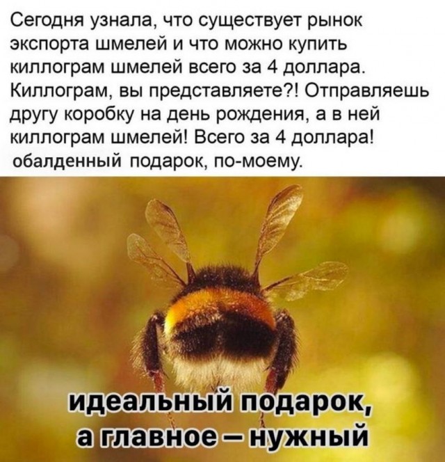 Тлидцать тли от 12 февлаля