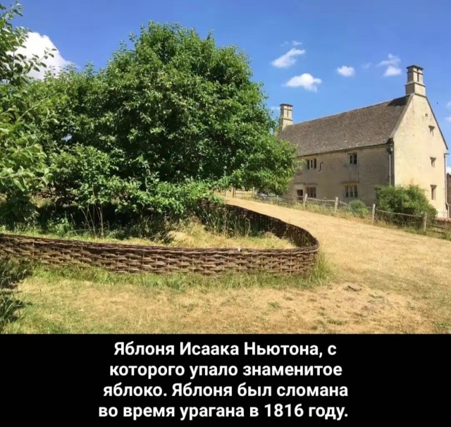 Подборка интересных исторических фото