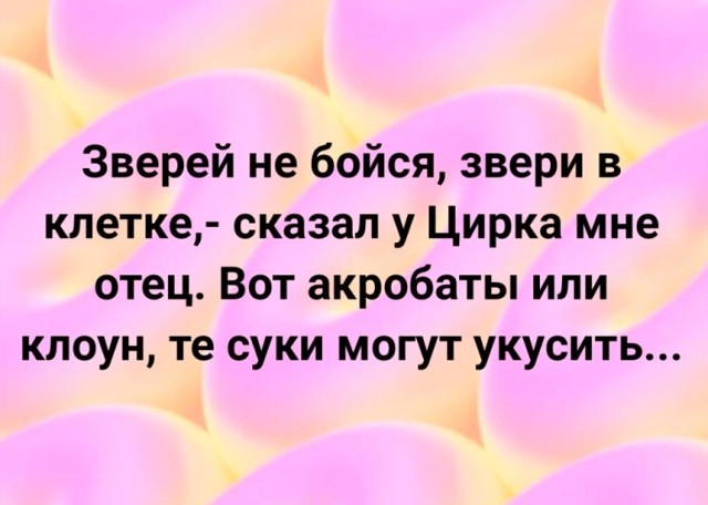 Никакие картинки и такие же тексты