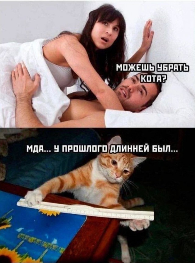 Завалялось тут случайно немного забавных картинок