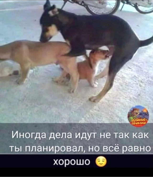 Какие еще вам нужны доказательства?