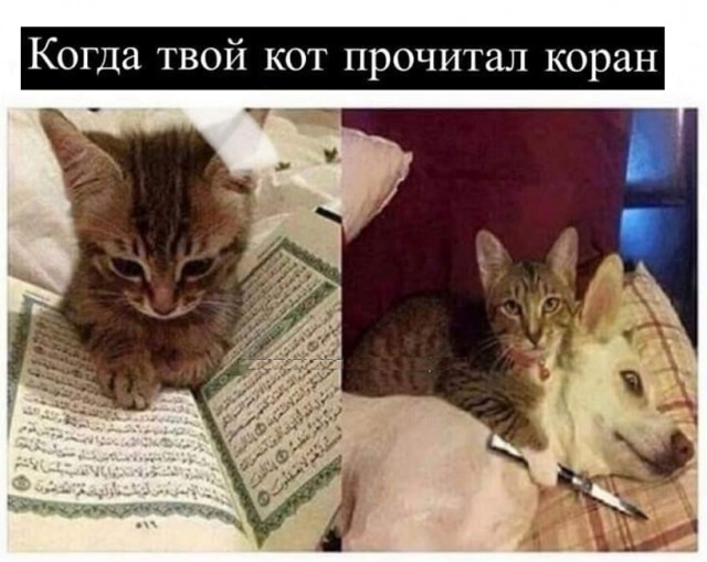 Картинки разные с надписями и без