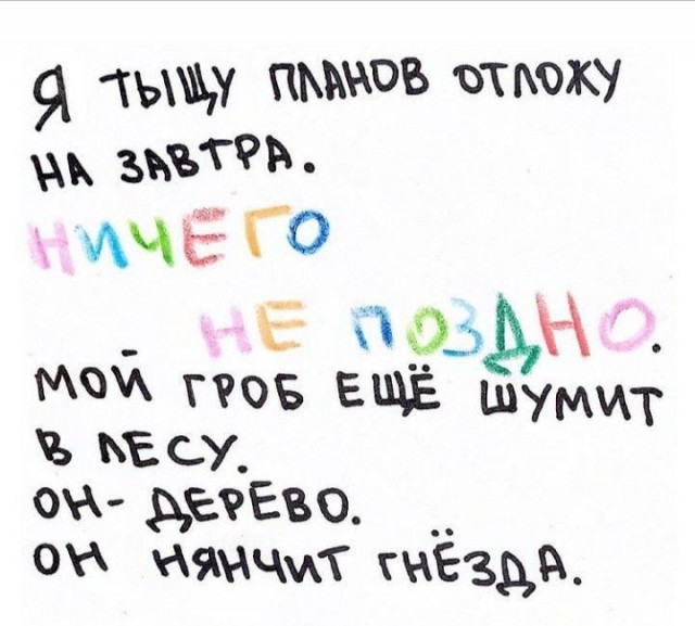Прикольные и просто красивые картинки 21.02.2025