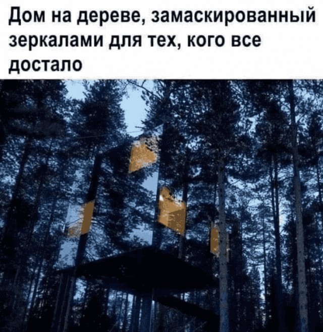Так себе картинки 26.02.25