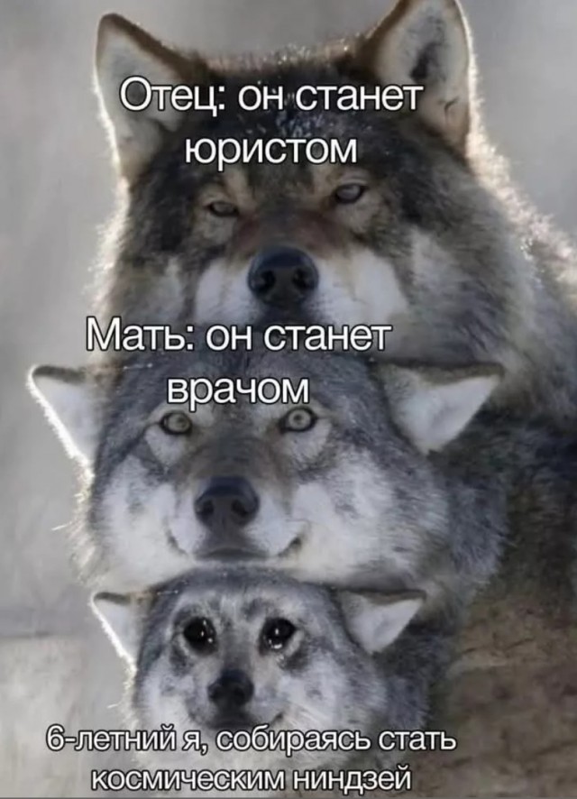 Завалялось тут случайно немного забавных картинок
