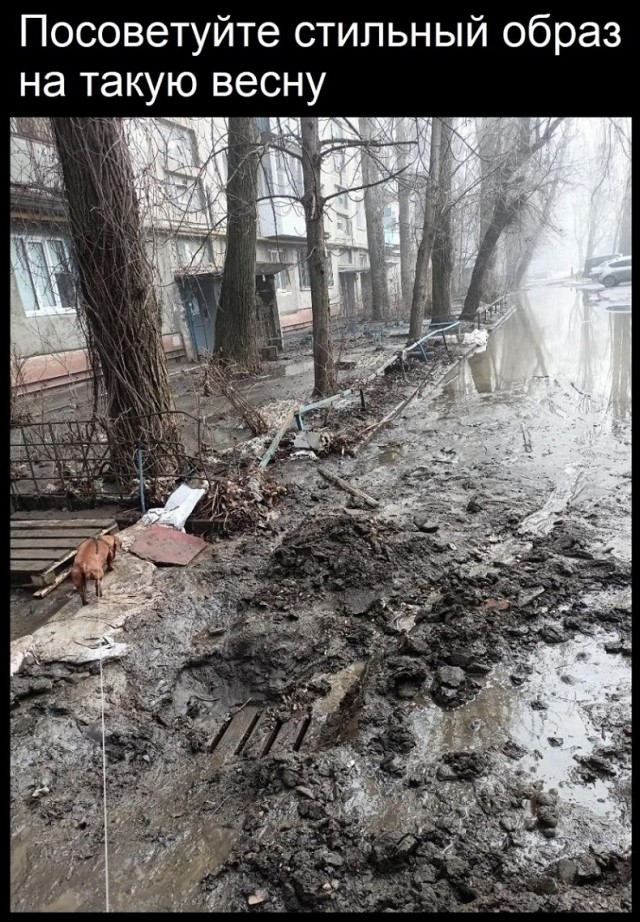 Так себе картинки 27.02.25