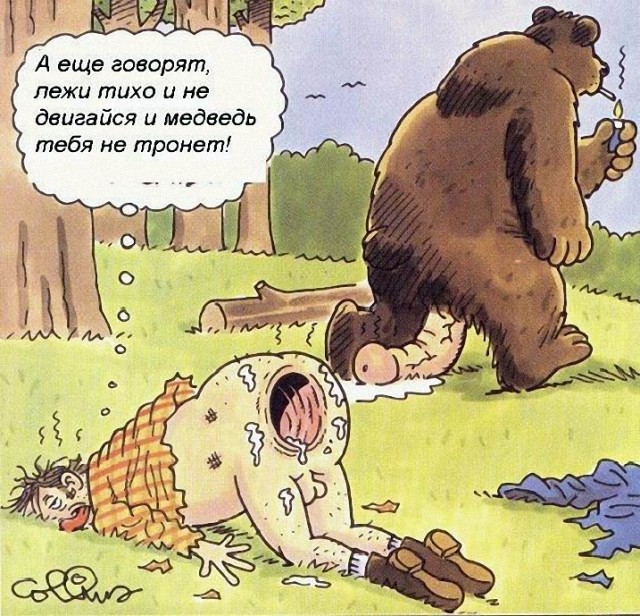 Чтобы победить медведя, нужно думать как медведь.