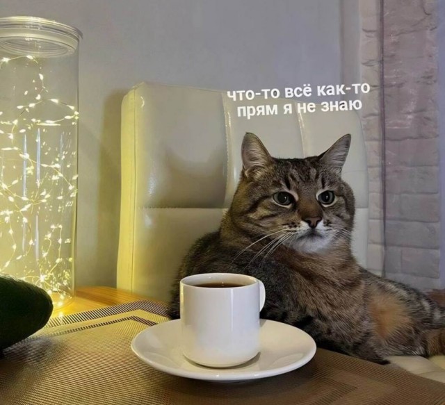 Кофе в России подорожает сразу на 50% уже в этом году