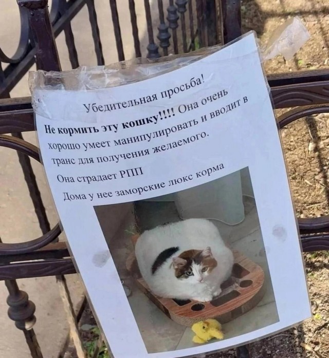 Иллюстрации