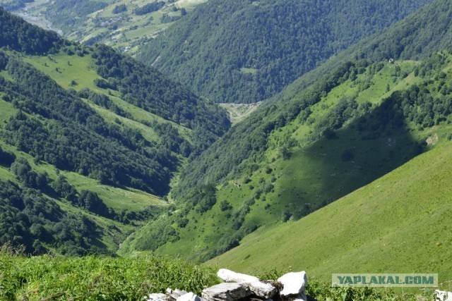 Отдых в Грузии