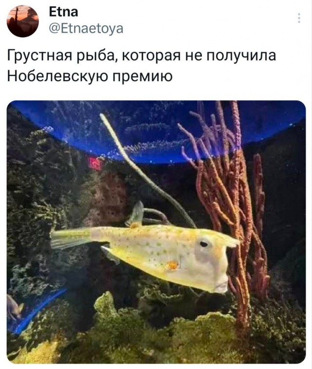 Картинки для деградации 65 (разной степени свежести)