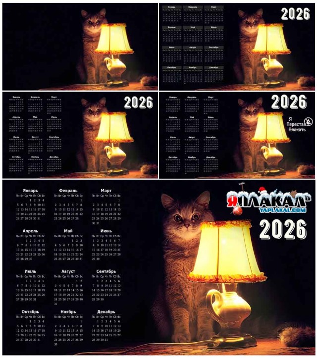 Забираем котика на стену