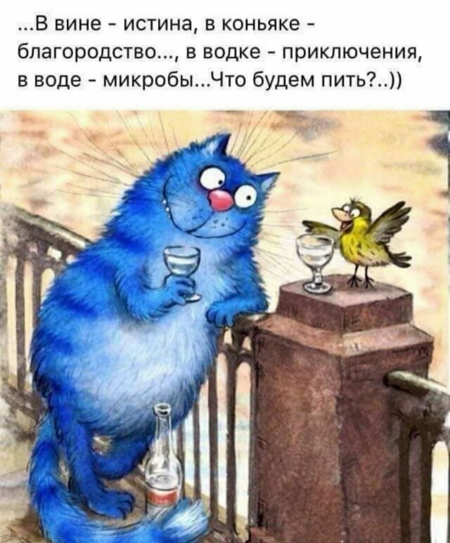 Прикольные и просто красивые картинки 02.12.2025
