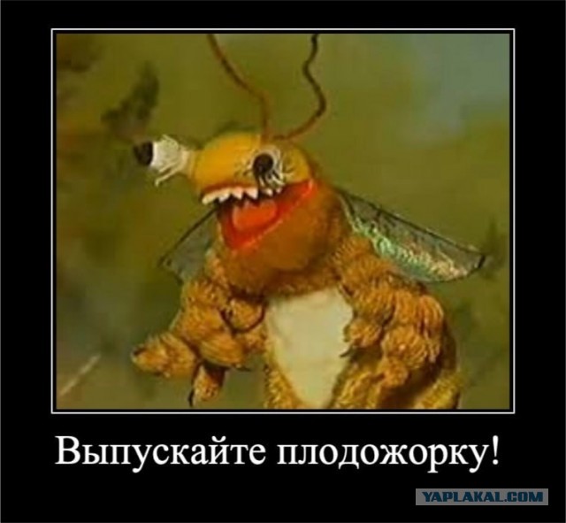 И не только цветочки