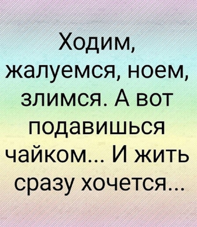 Так себе картинки 15.06.26