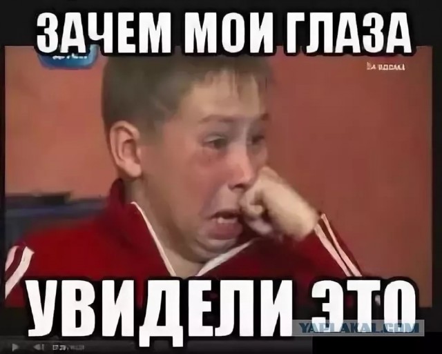 «Массовое интеллектуальное ДТП»