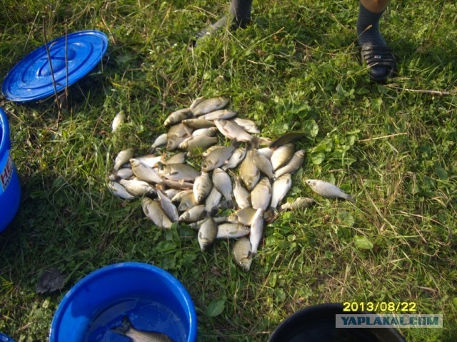 Поехали за грибами, приехали с карасями.