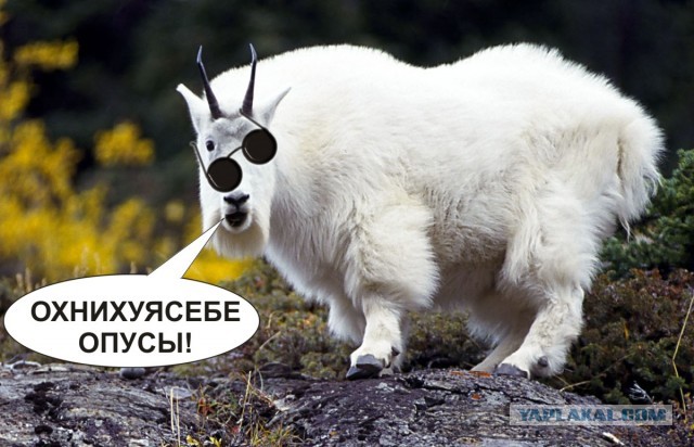 Калхозный клуп пейсателей