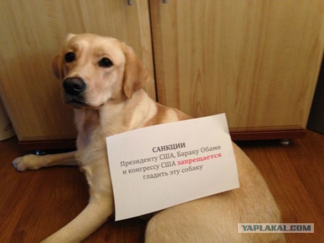 Коллекция санкций против США пополняется