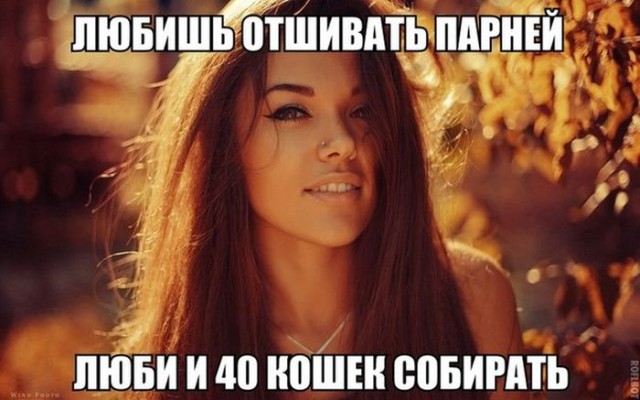 Cмешные баяны