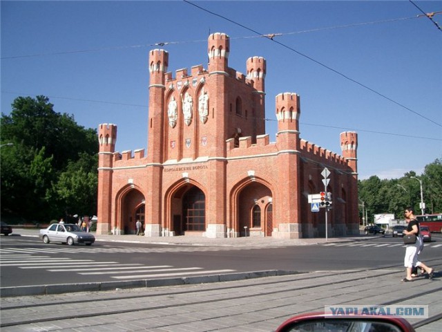 Тамбовский волк тебе товарищ...