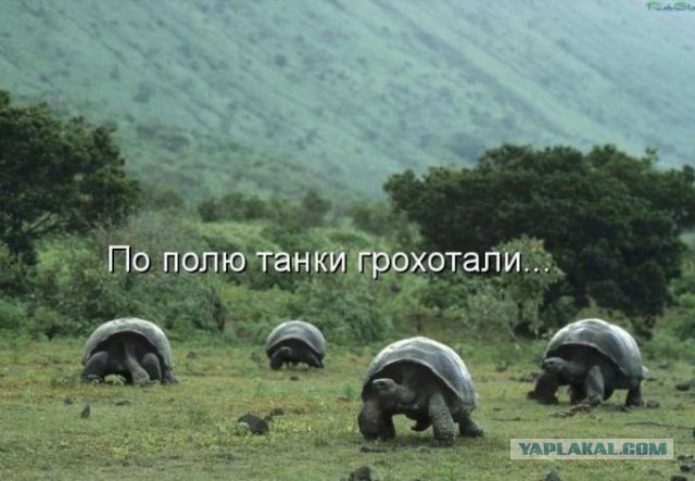 Демотиваторы вторника