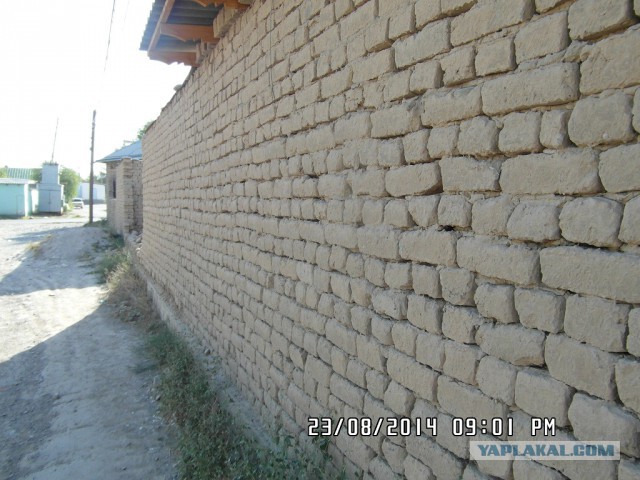 Юг Казахстана
