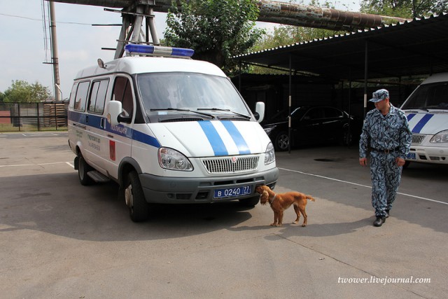Центр кинологической службы Упр-ния на транспорте