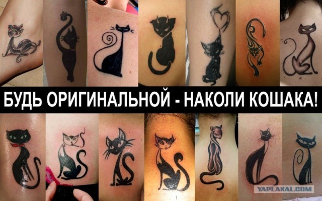 Наколи себе котэ!