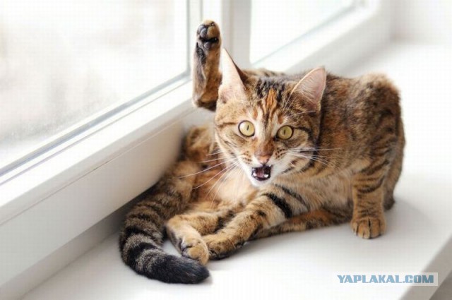 Ненавижу, когда такое случается