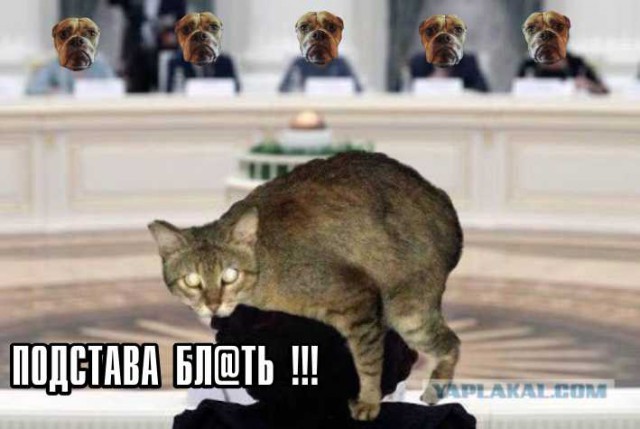 Фотожабы на кандибобер