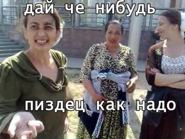 Власти и цыгане в Тульской области пришли к компромиссу