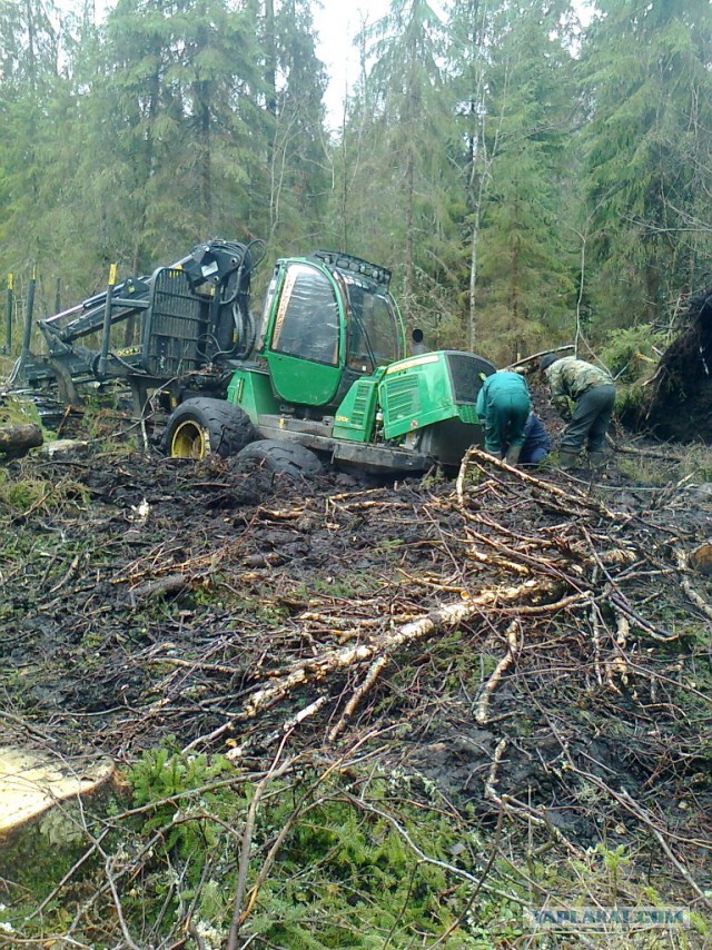Пендосская техника в наших лесах