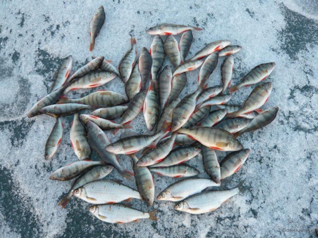 Сходил на зимнюю рыбалку