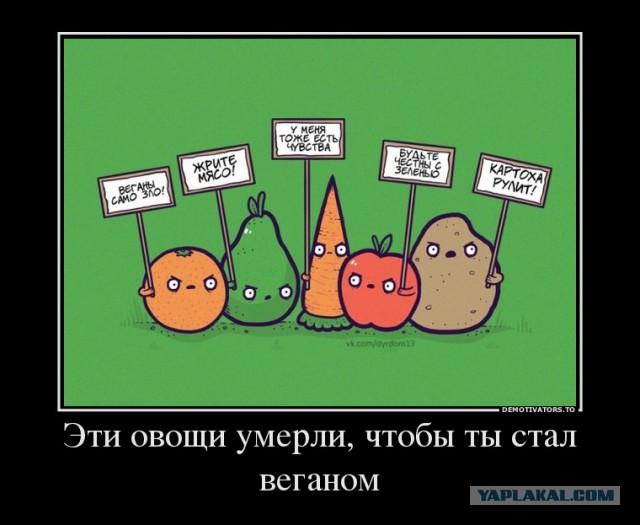 Исповедь сыроедки